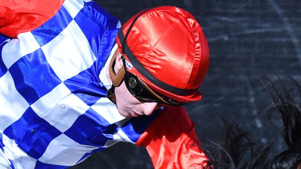 Dream come true: Harry Coffey drives Sopressa to the line to win the Australasian Oaks.