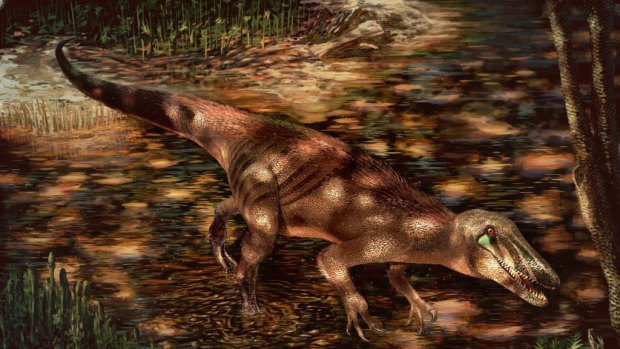 The new predatory dinosaur Tratayenia rosalesi crosses a stream in what is now Patagonia, Argentina roughly 85 million years ago, in this illustration by Andrew McAfee, Carnegie Museum of Natural History.