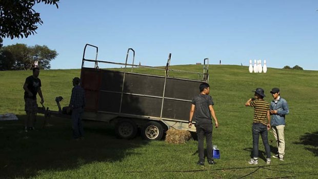 The area in Sydney Park where two water buffalo escaped during the filming of an ad.