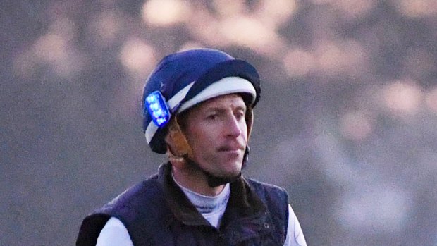 On show: Hugh Bowman returns on Winx after he morning workout infront of the world's press at Rosehill.