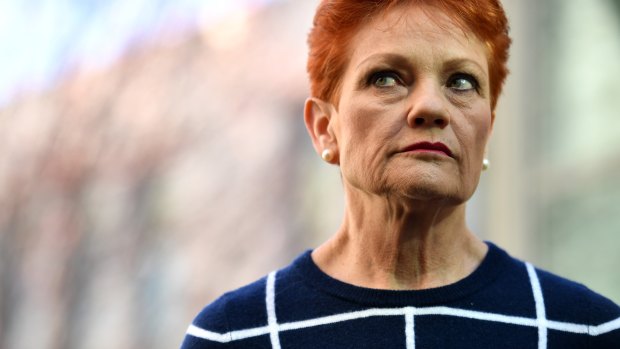 One Nation leader Senator Pauline Hanson.