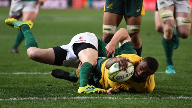 Barnstorming Marika Koroibete busts over for a Wallabies try in the second half. 