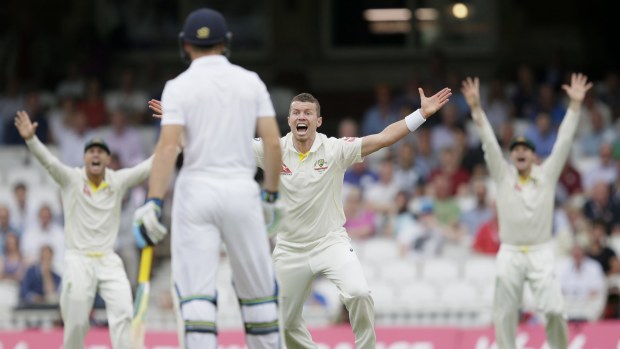 Australia's Peter Siddle appeals for an lbw against Mark Wood on the fourth day of the fifth Ashes Test.