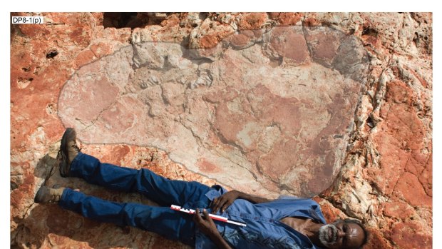 Richard Hunter lies next to a 1.7 metre dinosaur footprint belonging to a sauropod. The scale Richard is holding is 40cm long. 