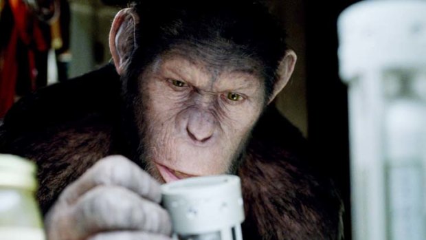 Emotion captured &#8230; 20th Century Fox is trying to convince Oscars voters to recognise the acting skills of Andy Serkis, below, for his digitised performance in Rise of the Planet of the Apes.