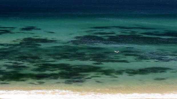 A lone swimmer cools off at Bar Beach in Newcastle on a hot October day last year.