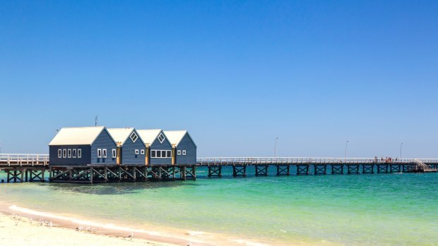 The Busselton jetty is under threat from "termites of the sea".