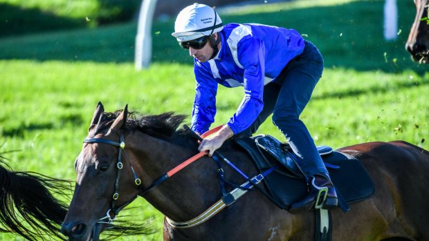 Streak: Winx has been unbeatable for some time.