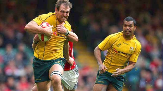 Leading by example . . . Wallabies captain Rocky Elsom charges at the Wales defence.