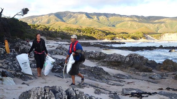 Determined: Volunteers collecting rubbish from beaches in south-west Tasmania.