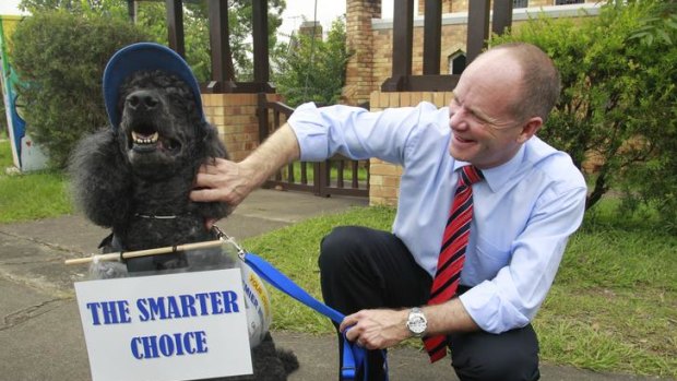 LNP leader Campbell Newman campaigns to win Ashgrove.