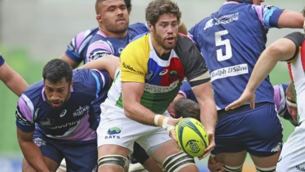 Building momentum: second-rower Greg Peterson.