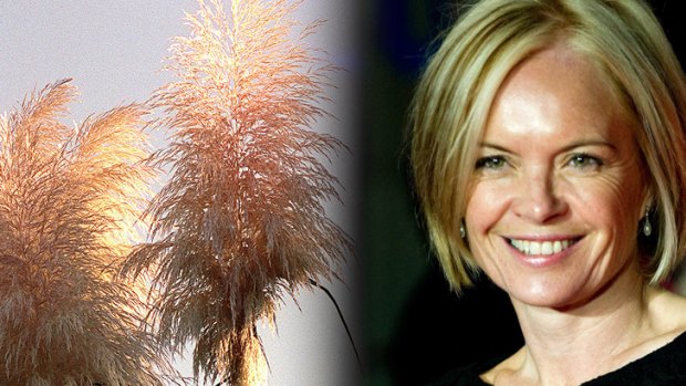 Sewing the seeds of a misunderstanding .... Mariella Frostrup, discovered she identified herself as a swinger by having pampas grass on her balcony.