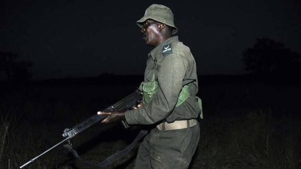 A ranger from South African National Parks (SANParks) participates at a night patrol exercice with South African National Defence Force (SANDF) company against rhino's poachers on July 19, 2011 along the Mozambique border in the Kruger National Park.