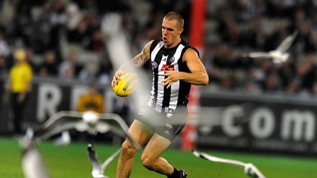 Dane Swan clears through the seagulls.