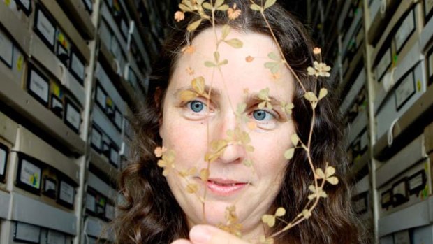 Angela Moles ... the Eureka Prize winner with a sprig of clover from 1948.