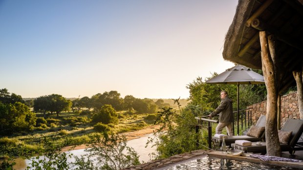 Between safaris, my young thumb-jockeys could easily slip off back to their suite to disappear into the private plunge pool.