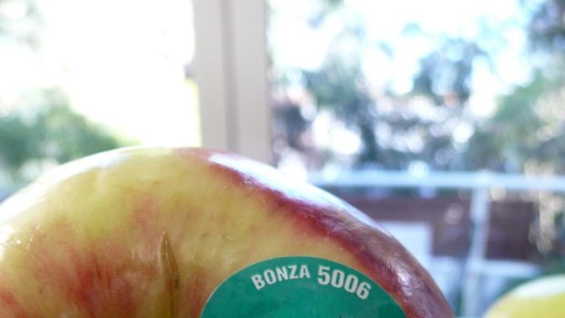 Bonza is the fantastic local (Batlow 1951), mid season apple which is so reliable year after year