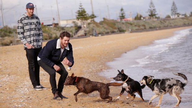 Tom Hickey and Jack Steven walk their dogs on the foreshore of Brighton Reserve.