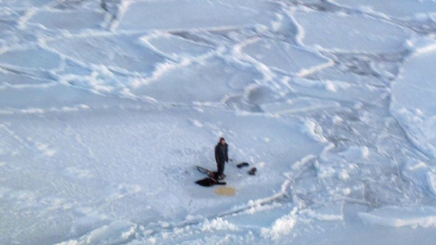 Shot a polar bear dead ... Jupi Nakoolak is seen trapped on a floating chunk of ice.