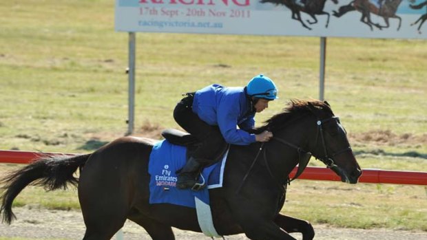 Pace work &#8230; Kerrin McEvoy gallops Modun at the Werribee quarantine centre this week. The lightly raced Godolphin stayer has won three races to 2400 metres.