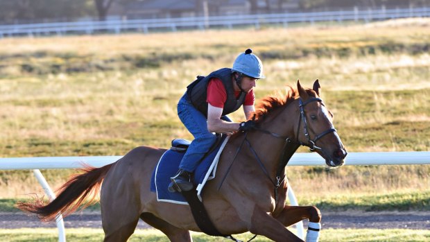 Red Cadeaux.