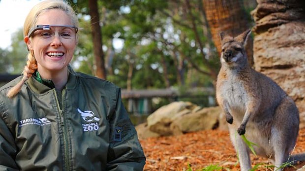 A handler at Taronga Zoo shows off Google Glass.