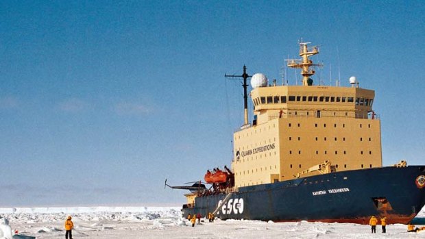 Australia may have to defend Antartica's rich oil reserves in the future, a report warns.