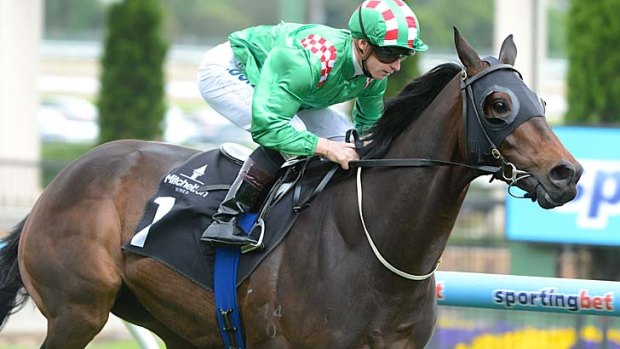 Savvy Nature has been promoted to favourite for the Victoria Derby after the barrier draw.