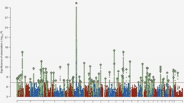 The C4 gene in the Chromosome 6 region towers over the other risk-associated areas for schizophrenia, marking the strongest known genetic influence for the disorder.