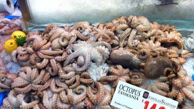 Tasmanian Octopus at Nicholas Seafood.