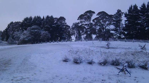 Wintery ... snow blankets the ground in Oberon.
