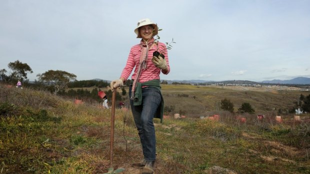 PhD student Kathy Eyles planting with other Greening Australia volunteers on Barrer Hill near the National Arboretum, Canberra.