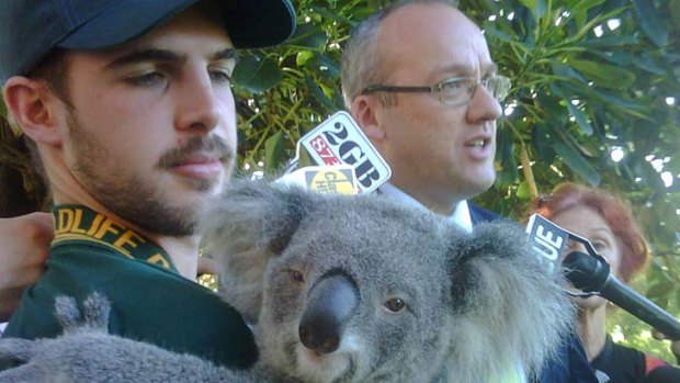 Labor's environment spokesman Luke Foley with Macey from the Featherdale Wildlife Park at NSW Parliament this morning.