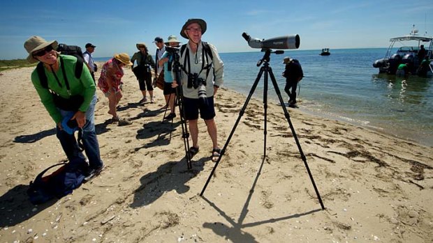 Birdwatchers gather on Mud Island.