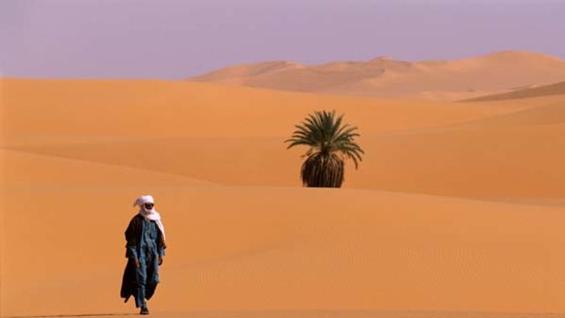 Well-trodden route ... walking in the dunes of the Libyan Sahara.