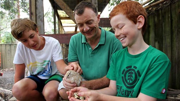 Andrew Timmis with sons, Jack and Will (in green) at their Sydney home with their quails.