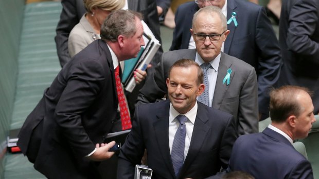 A wink and a ... Tony Abbott in Parliament House on Wednesday.