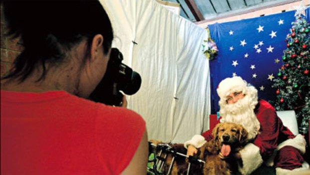 Going to the dogs...Cafe Bones in Leichhardt is all for pups on Santa's knee
