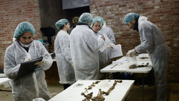Archaeologists and anthropologists begin the excavation work to find the remains of Cervantes at a church in Madrid.