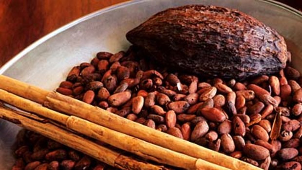 Spice of history ... cacao beans and cinnamon for hot chocolate.