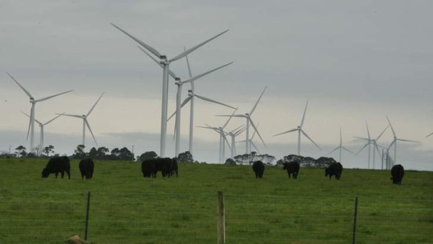 A turbulent issue: anti-windfarm advocates are pressing for review.