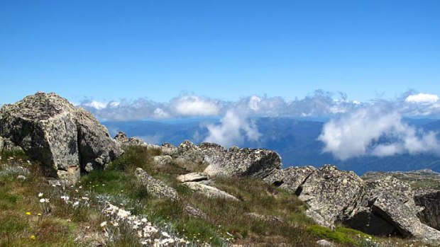 High season ... the magnificent view from the crest of Mount Kosciuszko.