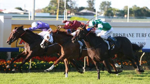 The commission of inquiry into the Queensland racing industry is set to examine employment contracts awarded under the previous Labour government.