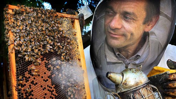 Keeping watch: Lyndon Fenton is among urban beekeepers recruited in the fight against exotic pests and diseases.