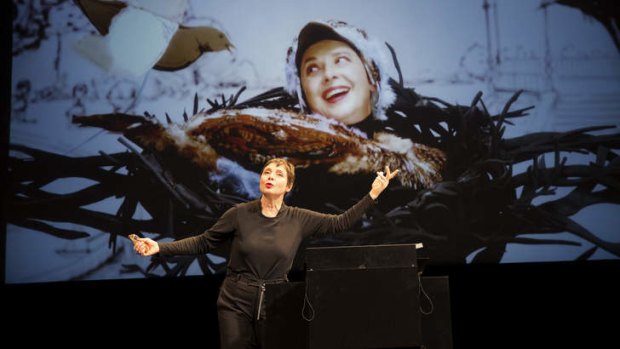 Isabella Rossellini's <i>Green Porno</i> was an Adelaide Festival highlight.