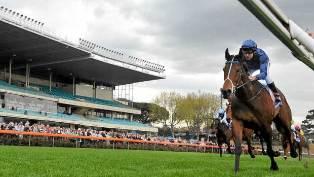 Atlantic Jewel has drawn barrier seven at the tight Moonee Valley circuit.