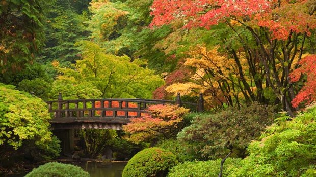 Exquisite ... the Japanese Garden in Washington Park.