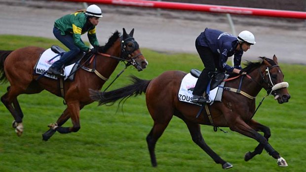 Chris Waller trained Zoustar and Moriarty work strongly at Flemington's Breakfast with the Stars.