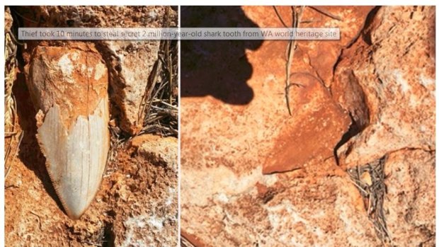 The tooth (right) and the gap left after it was stolen (left).